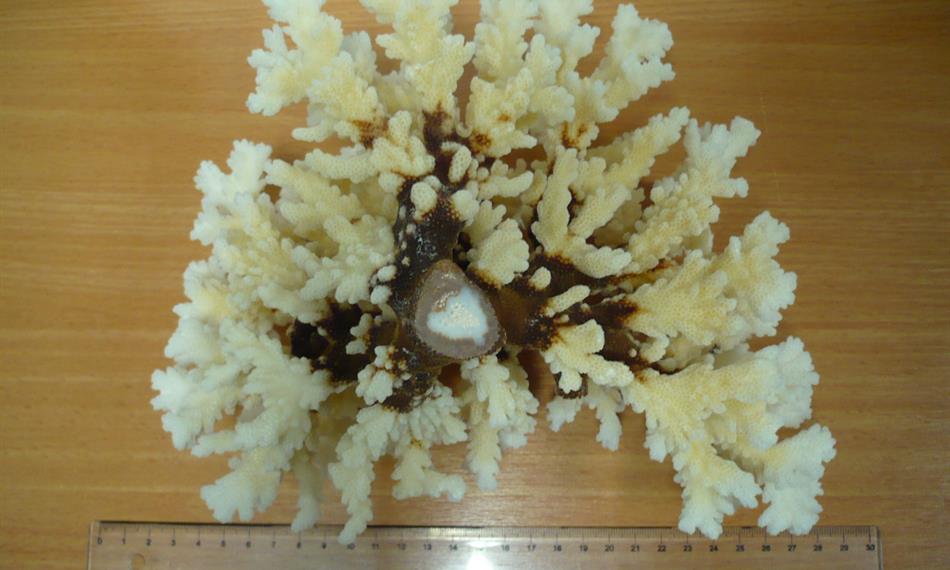 2018-5-23-751hlavní foto.JPG